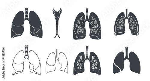 Human Lungs Medical Icons Set Black and White Flat Design