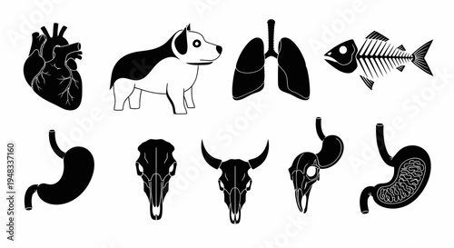 Black  White Vector Icons: Heart, Lungs, Dog, Fishbone, Stomachs, Skulls