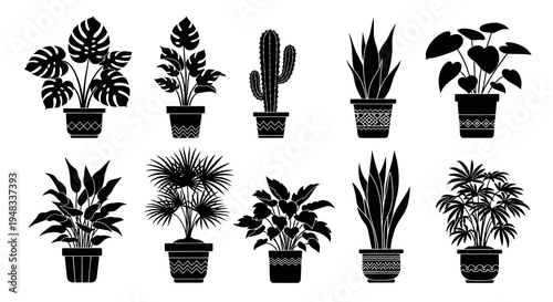 Black and White Silhouettes of Various Potted Houseplants