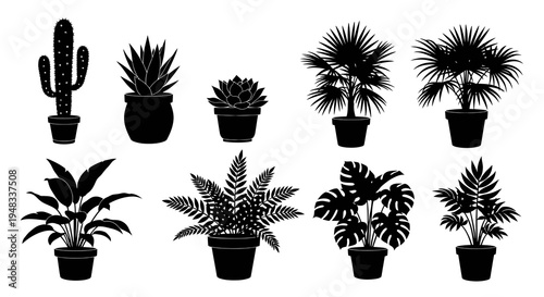 Black silhouette potted plants, vector icons, isolated on white background