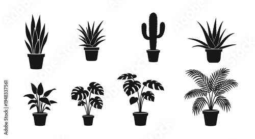 Black and white vector icons of potted houseplants, flat design