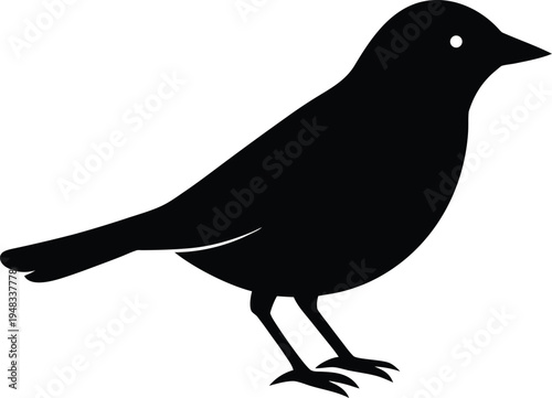 Weaverbird silhouette vector art illustration