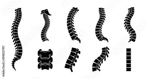 Medical Spinal Column Illustration Set: Vertebrae Anatomy Icons