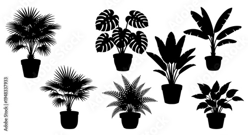 Black  White Silhouette of Potted Houseplants, Various Tropical Plants
