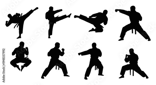 Karate Martial Arts Silhouettes: Dynamic Poses in Black  White