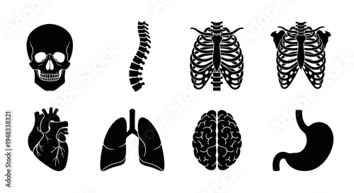 Black and White Icons of Human Organs and Skeleton, Medical Glyph Art