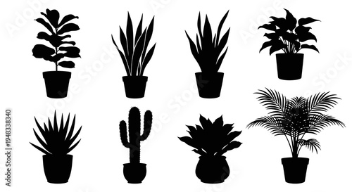 Black  White Silhouette Vector Illustration of Various Potted Houseplants