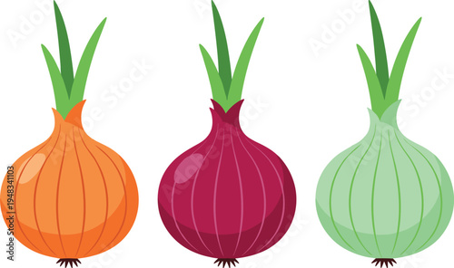 set of onion vegetables, red onion, yellow onion, green onion bulbs, fresh organic produce illustration, isolated flat vector food icons collection pack