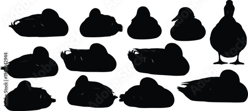 Collection of various duck silhouettes on white background