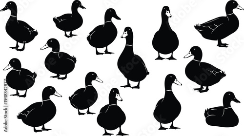 Collection of black duck silhouettes