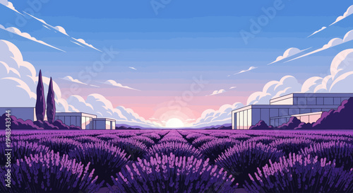 Fields of lavender under a pastel sunrise with modern buildings