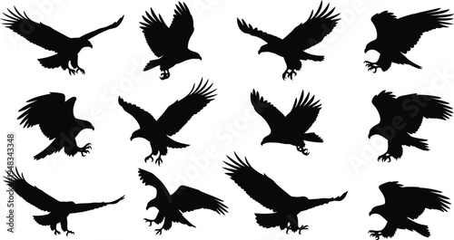 Collection of eagle silhouettes in various flight positions