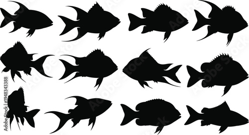 Collection of black fish silhouettes on white background