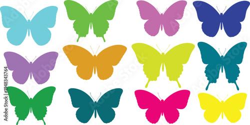 Colorful butterfly collection