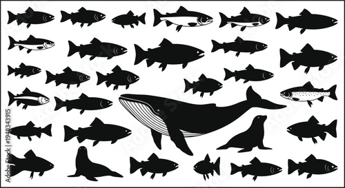 Black and White Sea Life Silhouette Vector Illustration Set of Humpback Whale Salmon Fish Trout Sea Lion and Marine Animals