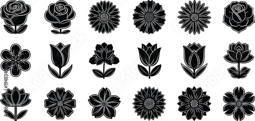 Black and white floral flowers roses tulips