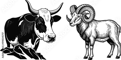 Large collection of black bird silhouettes featuring eagles, hawks, owls, pigeons, and songbirds isolated on a white background for design