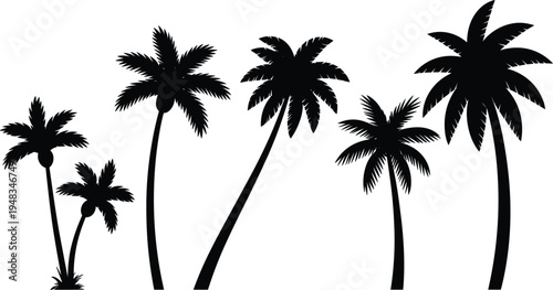 Black palm tree silhouette collection set with different shapes of coconut trees isolated on white background vector illustration for tropical beach travel and summer nature logo design