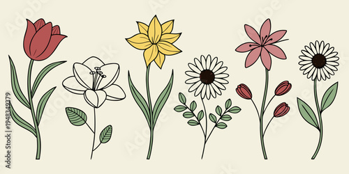 a row of colorful flowers with green stems Vector