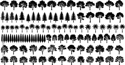Tree Silhouette Collection Set, Forest And Palm Tree Vector Icons, Black Nature Landscape Elements, Botanical Illustration Pack