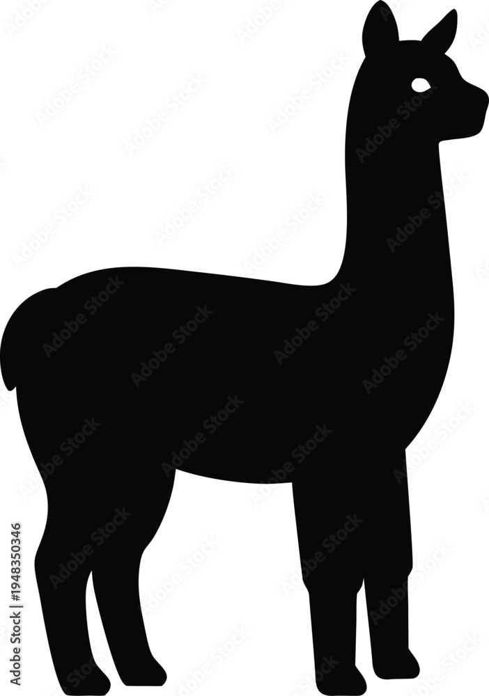 Fototapeta premium Adobe Illustrator Artwork