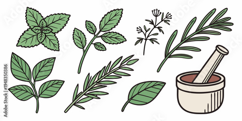 a mortar and pestle with various herbs Vector