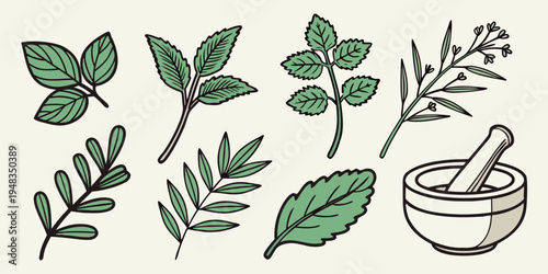 herbs and mortar for natural remedies Vector