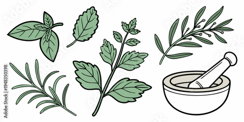 a mortar and pestle with various herbs Vector