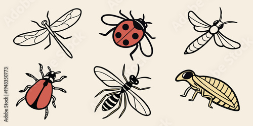 a collection of various insects Vector