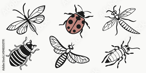 a group of insects including a ladybug and various flies Vector