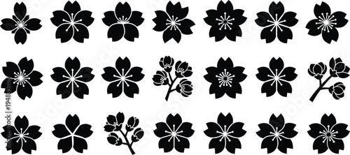 Black and white floral flowers silhouettes