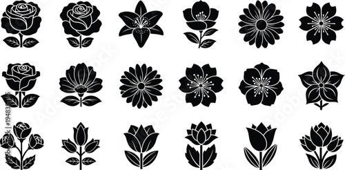 Black and white floral on white background flowers silhouettes