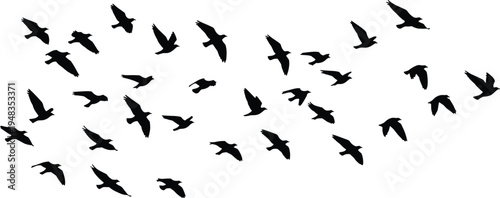 Large Set of Flying Bird Silhouettes Featuring a Flock in Various Wing Positions and Flight Paths Isolated on White Background for Wildlife Nature Design Projects