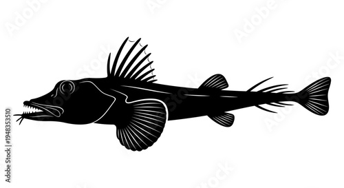 black and white fish