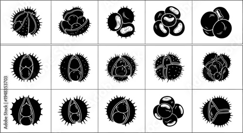 Collection of detailed black and white seed pod illustrations on grid background
