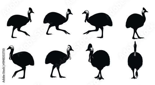 Eight black silhouettes of ostriches walking and standing on white background various poses side and front views animal graphics