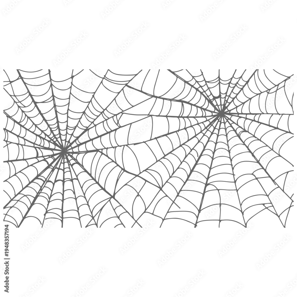 Obraz premium Spider Web Drawing Vector Illustration, Detailed Cobweb Line Art Isolated on White Background, Realistic Hand Drawn Spider Web Sketch, Creepy Halloween Spider Net Design Element