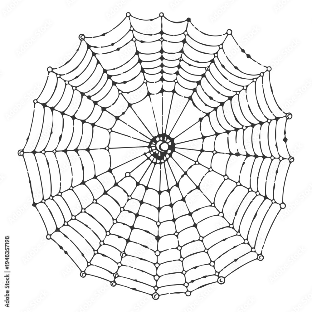 Obraz premium Spider Web Drawing Vector Illustration, Detailed Cobweb Line Art Isolated on White Background, Realistic Hand Drawn Spider Web Sketch, Creepy Halloween Spider Net Design Element