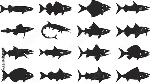 Collection of various fish silhouettes vector set featuring ocean sea life predators and freshwater species for fishing club logos seafood restaurant menus and nautical designs