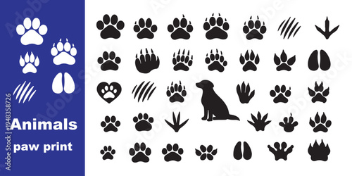 Animal Paw Prints Set - Dog and Bird Tracks, Black Animal Footprints, Paw Silhouettes, Wildlife Footprint Illustrations, Vector Animal Tracks