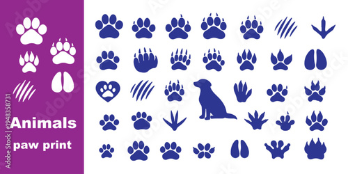 Animal Paw Prints Set - Dog and Bird Tracks, Black Animal Footprints, Paw Silhouettes, Wildlife Footprint Illustrations, Vector Animal Tracks