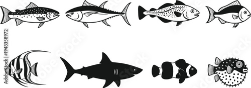 Black and White Vector Illustrations of Various Fish Species Including Shark Tuna Pufferfish Clownfish Angel Fish and Salmon Isolated on a White Background for Seafood Design