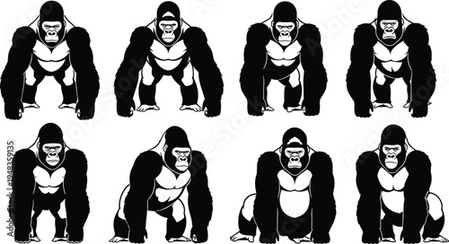 Black and White Vector Illustrations of Mountain Gorillas and Silverbacks in Various Standing and Crouching Poses Isolated on a White Background for Wildlife Nature Design