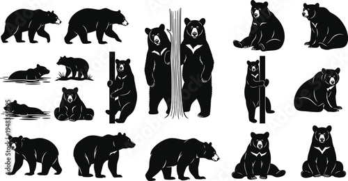 Black bear silhouette set with grizzly polar and brown bears in various walking sitting climbing and swimming poses isolated on white background for vector design