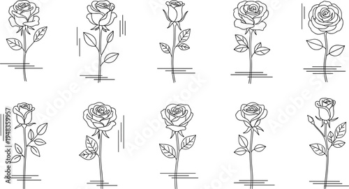 Minimalist Line Art Rose Flower Illustrations with Elegant Stems and Leaves in Black and White