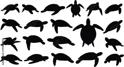Black sea turtle silhouette set with various aquatic tortoises in swimming and crawling poses isolated on white background for marine nature vector graphic design