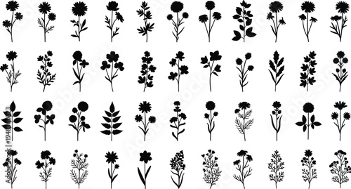 Black wildflower silhouette set with various meadow floral stems garden herbs and field blossoms isolated on white background for botanical nature vector graphic design