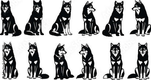 Collection of twelve black wolf silhouettes featuring wild predators in various sitting and alert poses with detailed fur textures isolated on a white background