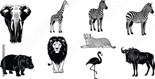 Set of black and white African safari animal illustrations including elephant lion giraffe zebra cheetah hippo and flamingo isolated on white background for vector design