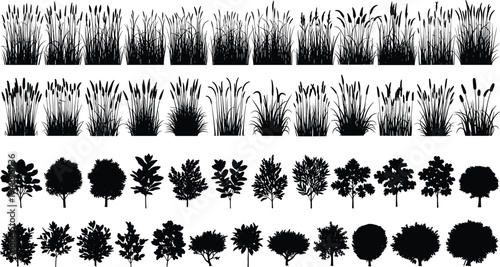 Mega collection of black vector silhouettes featuring various garden shrubs small trees and tall marsh grass meadow plants isolated on a clean white background